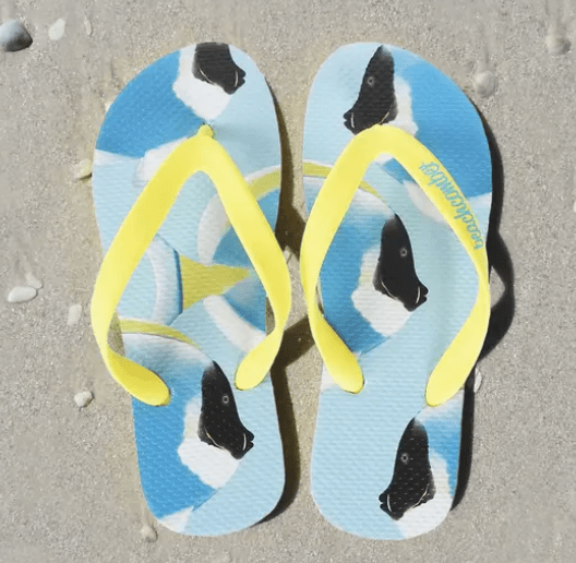 Beachcomber Flip Flops - Powder Blue Tangs.
